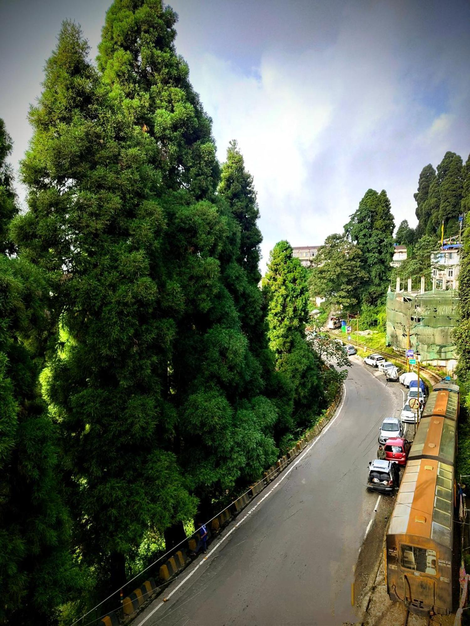 Hidden Monkey Backpackers Darjeeling, Batasia Дарджилинг Экстерьер фото